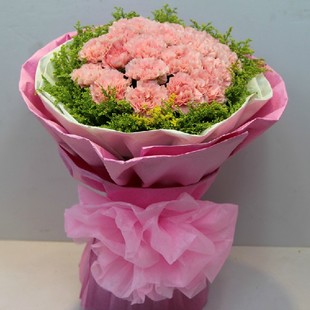 粉色康乃馨花束生日鲜花